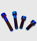 Titanium Motor Bolts-Surron Light Bee X