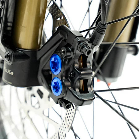 Ventus One Plus Bike